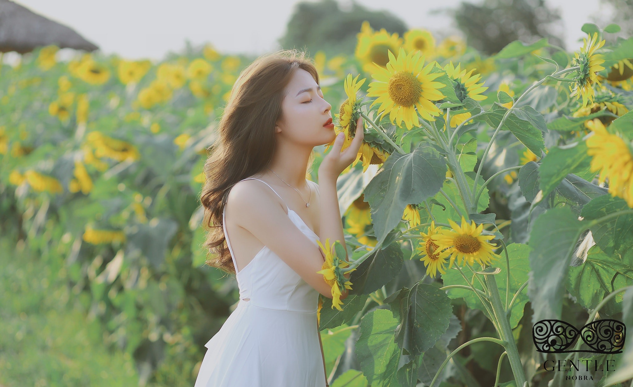 Top 222+ ảnh cô gái cầm hoa gây thương nhớ đẹp nhất 2024  32 ảnh cô gái cầm hoa hướng dương thơ mộng 4