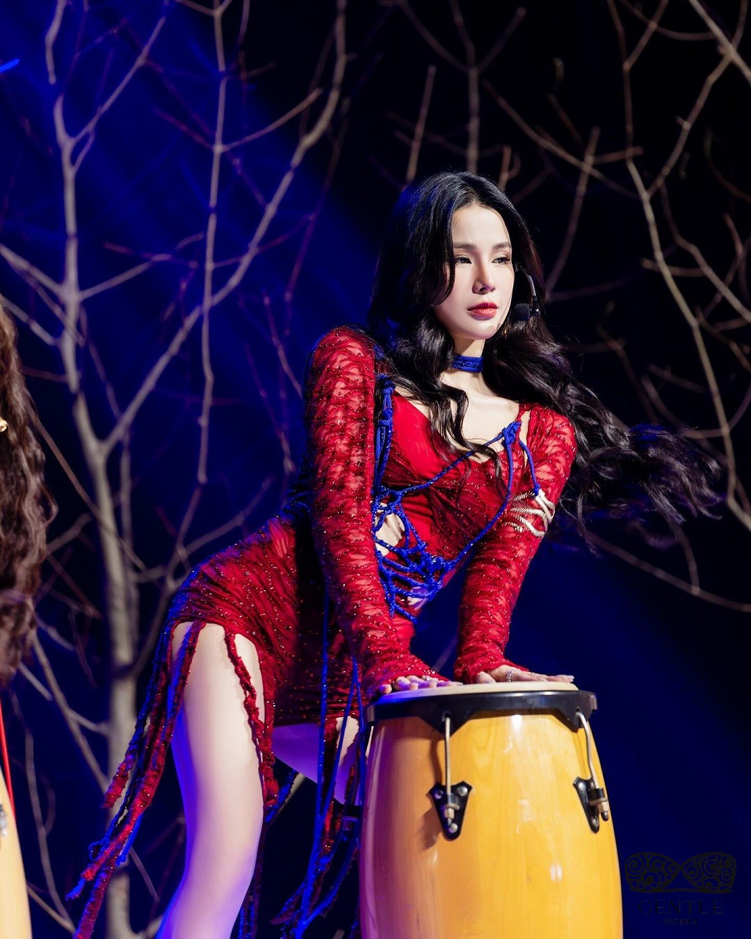 chị đẹp Diệp Lâm Anh 3