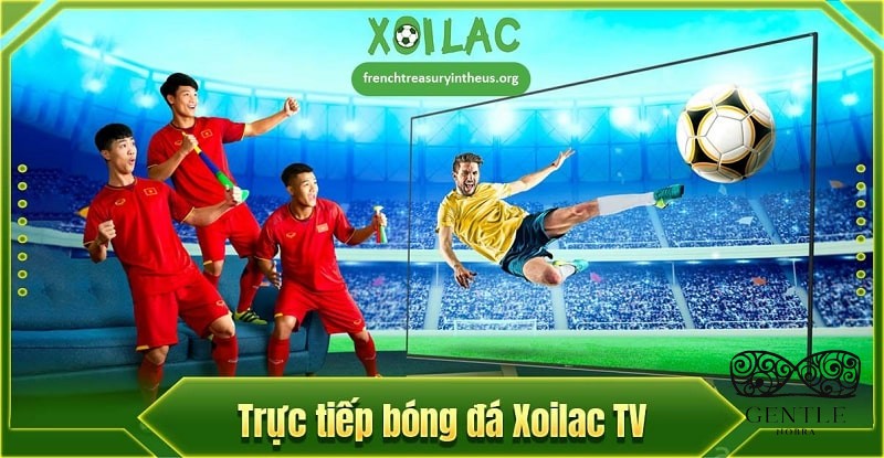 Khám phá Xoilac TV: Theo dõi bóng đá trực tuyến miễn phí 3 xxx